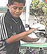 Image - rhythm in schools - boy drumming on bin drum